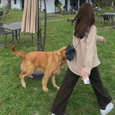 孽海狂澜